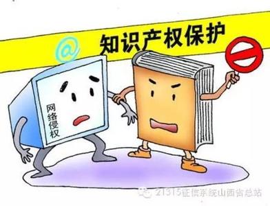 加大对知识产权的司法保护力度